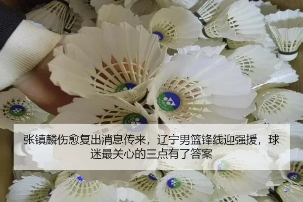 张镇麟伤愈复出消息传来，辽宁男篮锋线迎强援，球迷最关心的三点有了答案